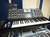 Moog Voyager blank