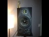 Adam A7 monitors blank