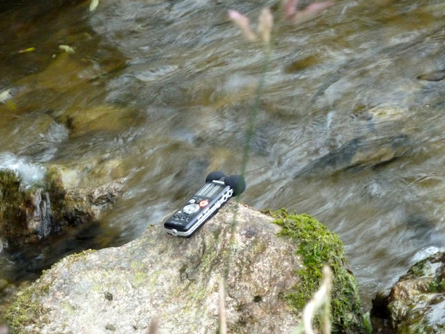 Field recording