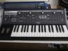 Moog Little Phatty blank
