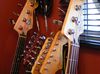 Guitars blank