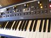 Moog Little Phatty blank