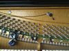 DPA 4061 blank