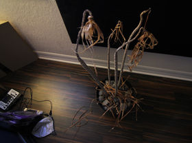 Me in my studio: Ian Carey