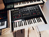 Octave Kitten blank