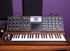 Moog Voyager blank
