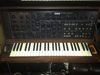 Korg synth blank