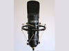 Budget mic blank