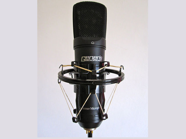Budget mic