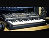 Realistic Moog blank