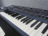 Roland JP-8000 blank