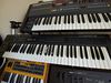 Roland Alpha Juno 2 blank