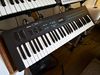 Yamaha DX-21 blank