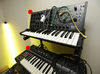 The first synth blank