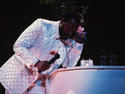 Get the groove of Marvin Gaye's Sexual Healing
