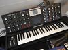 Moog Voyager blank
