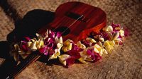 The rise and rise of the ukulele!