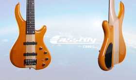 Cassidy CB901 5 String Active Bass