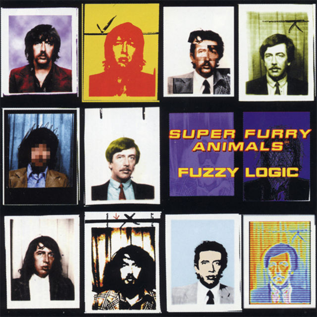Fuzzy Logic (1996)
