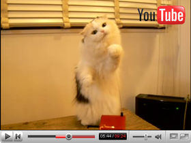 Best of YouTube: #7
