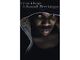 Big Fish Audio Hip Hop Mood Swings