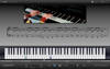 Apple Garageband '09
