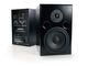 APS Aeon Powered Monitors