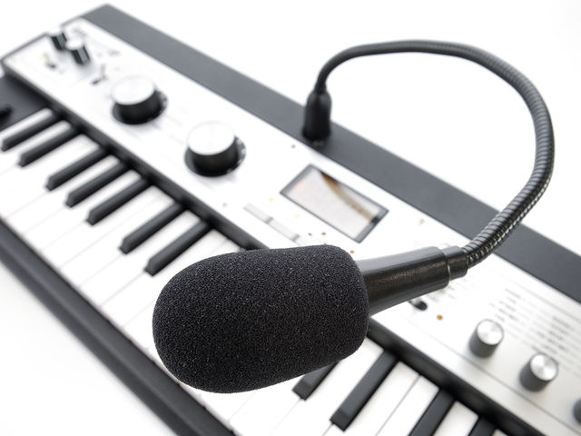 microKorg XL You get a nice chunky mic included.