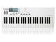 Waldorf Blofeld Keys