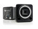 Equator Audio Research Q8