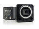 Equator Audio Research Q8