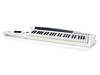 Roland AX-Synth