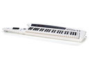 Roland AX-Synth