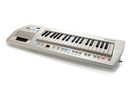 Roland Lucina AX-09