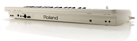 Roland lucina rear