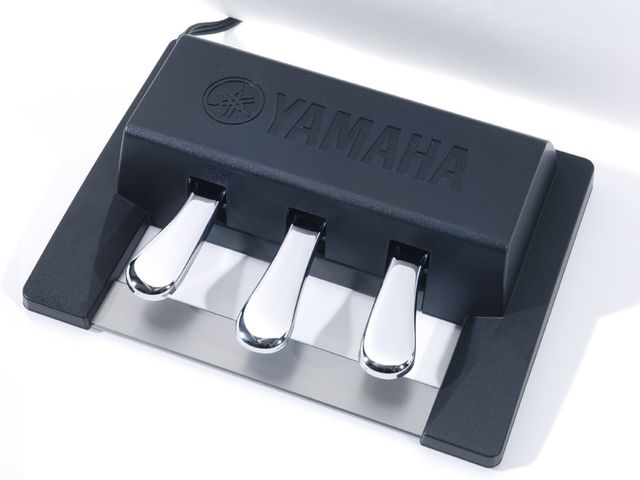 The CP1's foot pedal.