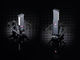 SE Electronics VR1 & VR2 Voodoo Ribbon Mics