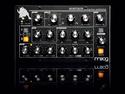 Moog Minitaur