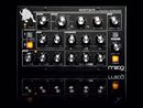Moog Minitaur