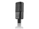 Lewitt LCT240