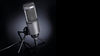 A serious USB microphone with a pleasing price
