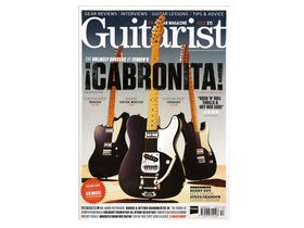 30 great Guitarist covers