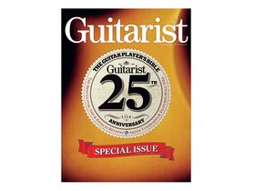 30 great Guitarist covers