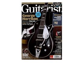 30 great Guitarist covers