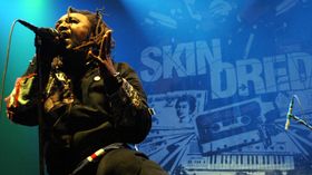 Skindred unleashes Kill The Power