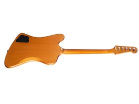 Gibson unveils Skunk Baxter Firebird