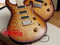 PRS 25th Anniversary Swamp Ash Special Narrowfield