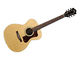 Guild D-40 Std