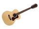 Guild F-212XL Std