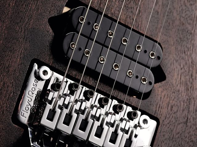 Jaden Rose Series 2 The Jaden Rose retains a metal vibe, so a Floyd Rose is the natural trem choice.